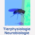 Tierphysiologie / Neurobiologie