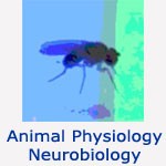 AnimalPhysiology / Neurobiology