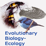 Animal Ecology