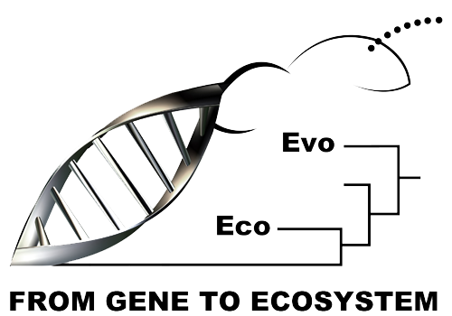 Logo Korb Lab