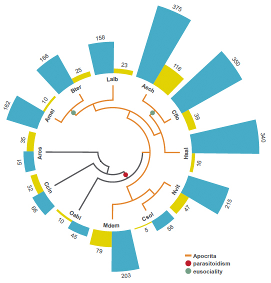 Comparative genomics light