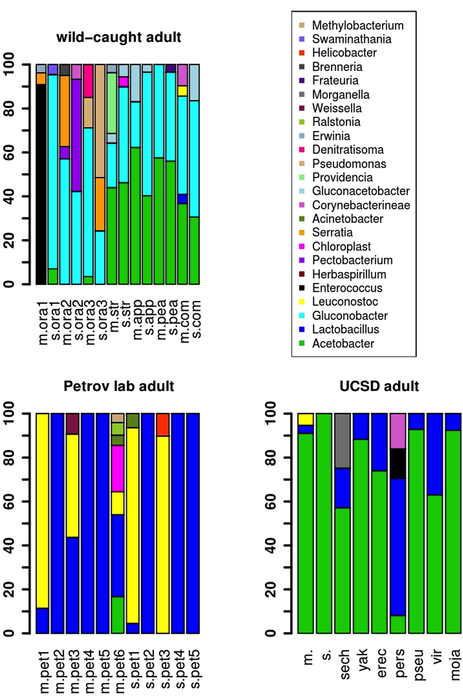 bacterial community profiles of Drosophila