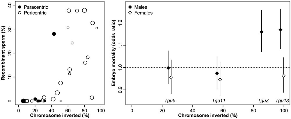 Human Embryomortality